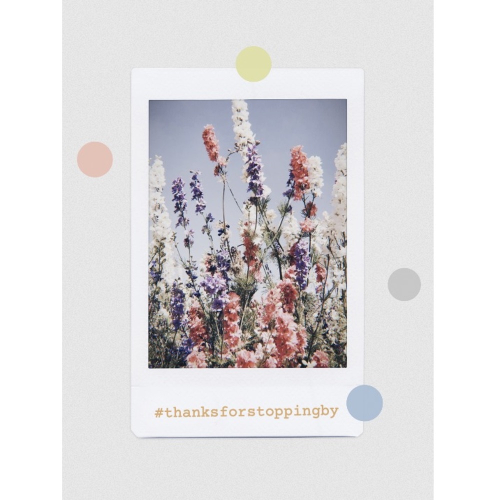 Thanks for Stopping By! 🍃